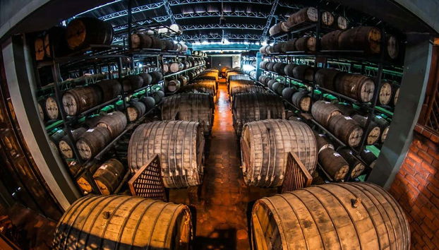 Explore Cava San Miguel