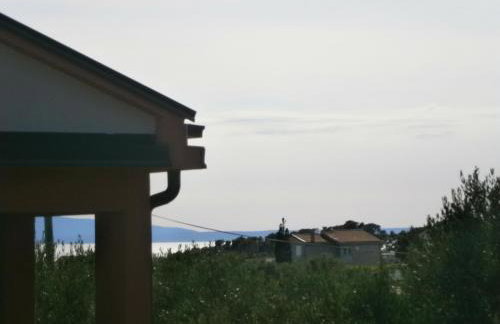 Zobić Family Apartments - Photo 44