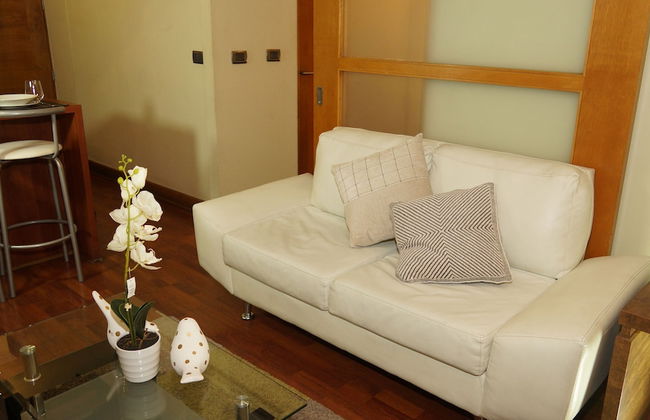 Apart Providencia Barros Borgoño - Foto 29