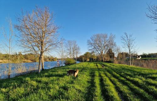 moselquartier terlinden- Apartment - Foto 19