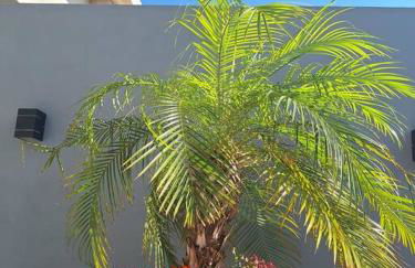 Casa para 5 pessoas próximo ao centro de SN - Casa Nova - Foto 76