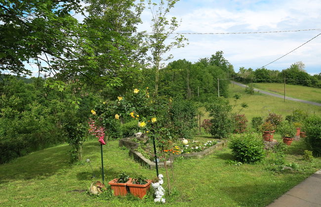 Il Cavaliere - Foto 4