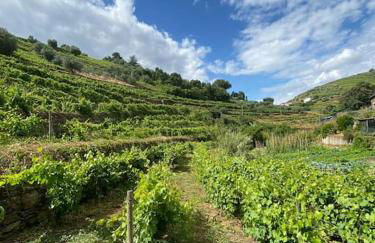 Quinta do Enxertado - Foto 26