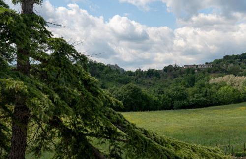 Fattoria Francesco - Foto 30