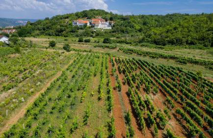 Villa Old House - Makarska by Villas Guide - Foto 37