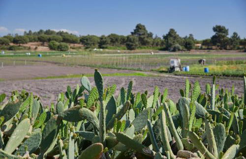 Comporta Sandy Villa, By TimeCooler - Foto 70