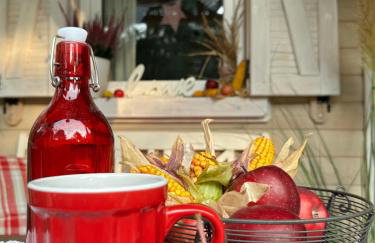 Chatka Jezioranka & bania - Foto 10