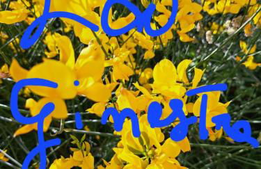 House la Ginestra - Foto 30