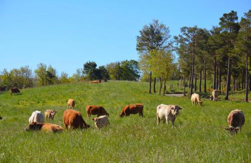 Mas Postius - Photo 30