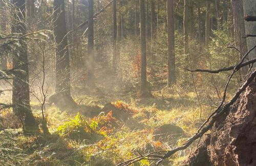 Redroofs by the Woods - Foto 36