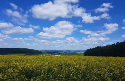 Ferienwohnung am sonnigen Haimberg - Foto 47