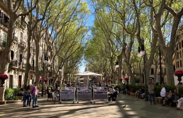 Sweet William - Foto 32