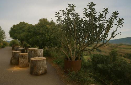 Casa Cueva Hondo - Foto 28