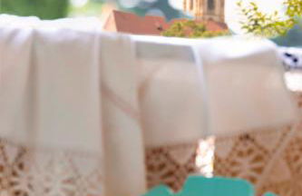 Obstbauernhof Bundschuh - Dogs welcome - Photo 7