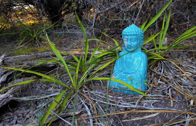 Monte Mahala - Casa Maia - Foto 19