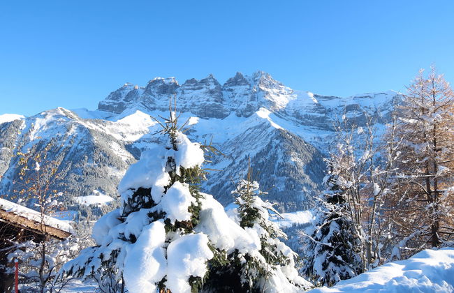 Chalet Seravalle - Foto 37