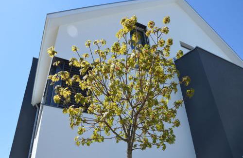 Kapps Haus - Foto 42