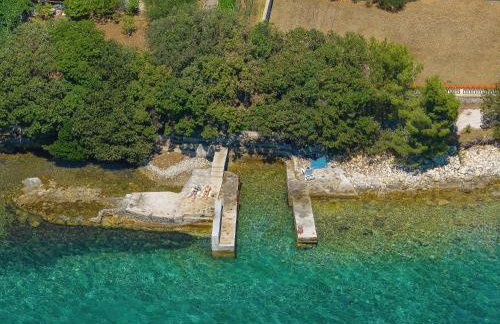 Vidalis, no 1 - Foto 39