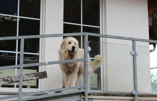 Alpaca-Village - Foto 27