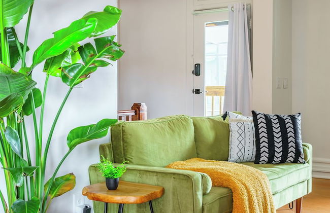 Jungle Gem Master house - Foto 77