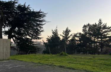 Deer's Meadow - Photo 10