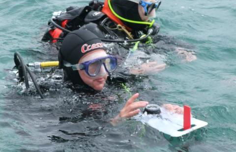 VIEUX PASSAGE, Maison avec cour privée à 150 m du PORT et de la PLAGE - Foto 31