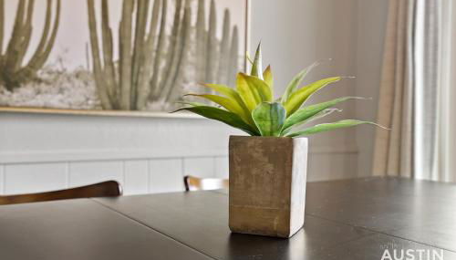 Pets Welcome Great Space Backyard Near Zilker - Foto 4