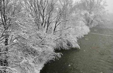 U Ewy pod Brzozami - Foto 7