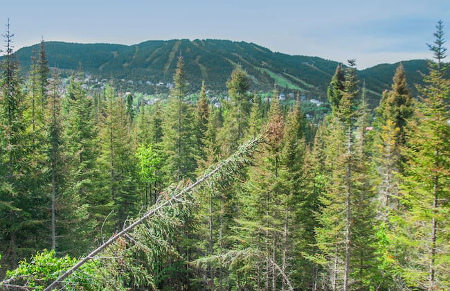 Imago Village - Foto 42