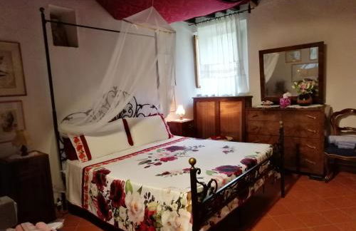 Agriturismo Podere Tegline - Foto 7