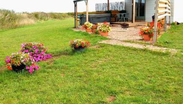 Beautiful Wooden tiny house, Glamping cabin with hot tub 3 - Foto 4