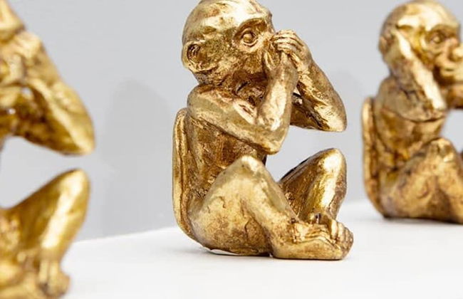 The Kings Gathering - Very Central Chester - Photo 28