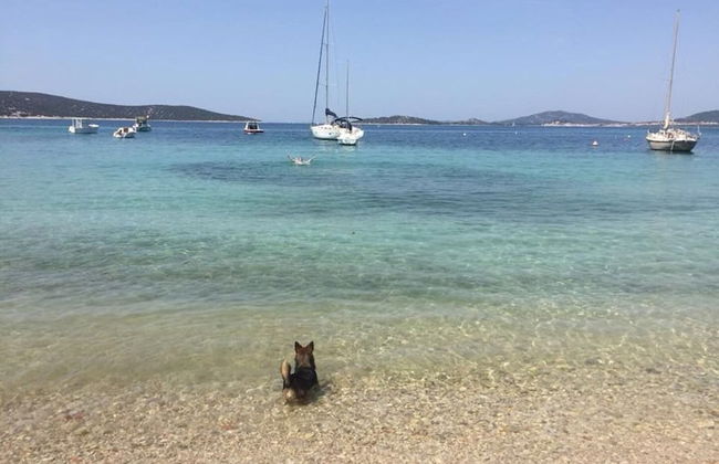 Delfin - sea View - A3 Zeleni - Foto 15