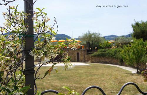 Agriturismo Signorini - Foto 27