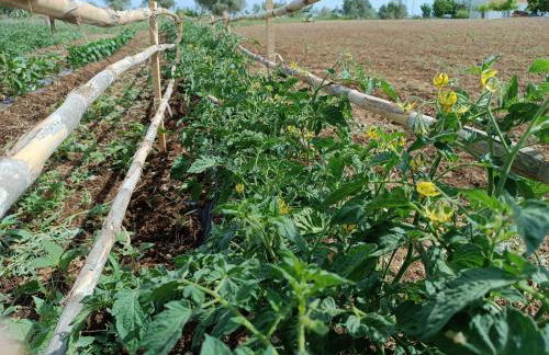 Passo do Lobo - Turismo Rural - Foto 41