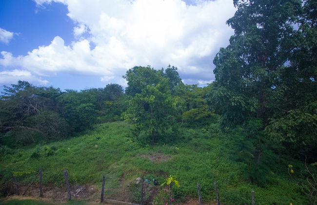 Rainbow Hill - Photo 33