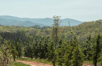 White Tail Nook - Foto 27