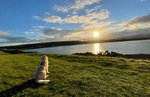 Loughview Lodge - Foto 51