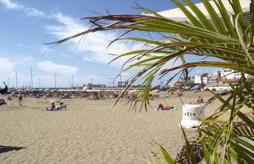 Parque Tropical I - Photo 44