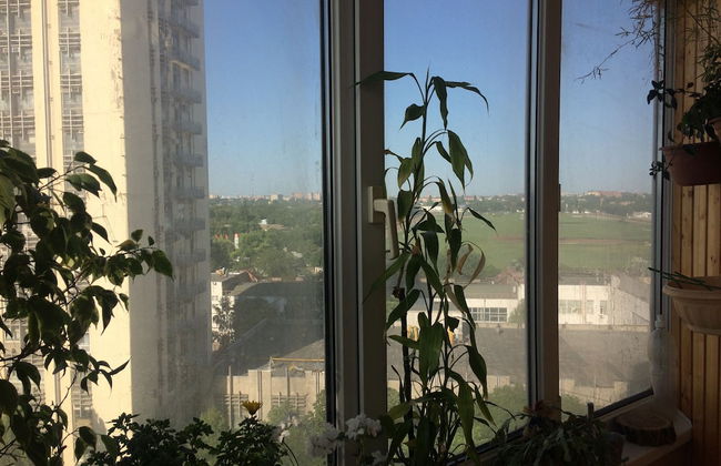 1st Man In Space Apartments - Foto 38