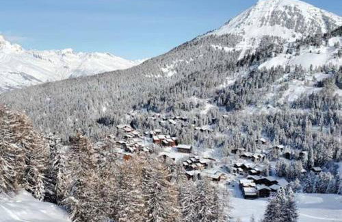 Chalet Dakota, Pied des pistes, 15 pers, La Plagne - Foto 48
