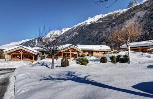 Chalets Ile des Barrats - Foto 5