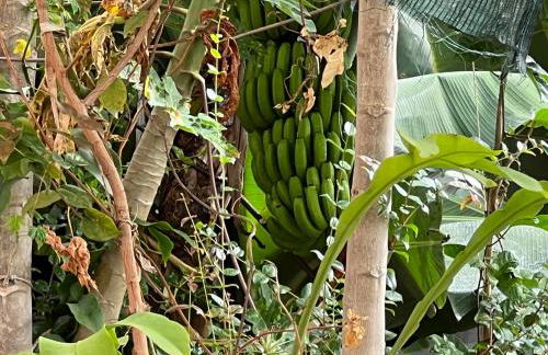 Villa Formosa - Foto 12