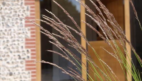 The Cattleyard - Foto 2