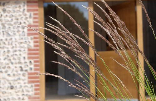 The Cattleyard - Foto 2