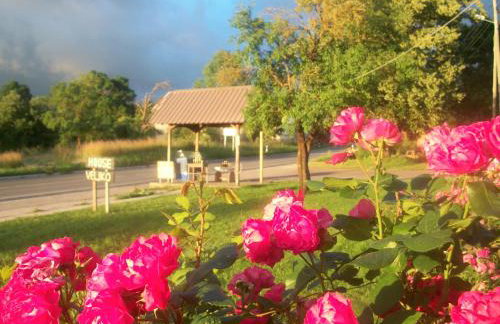 House Veljko - Foto 21