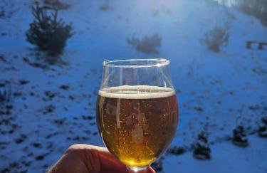 Tysiowa Chata - Foto 15