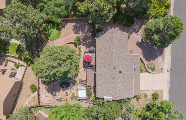 Entertainer - Foto 71