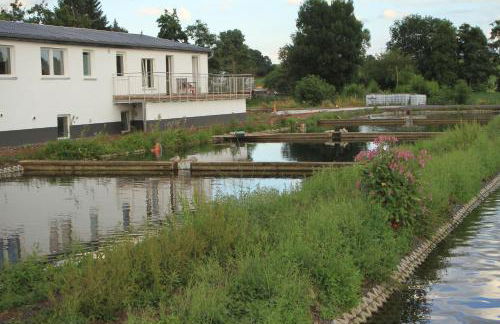 Ruhige Ferienwohnungen mit Teichblick - Photo 2