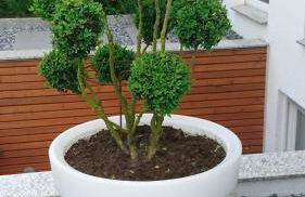 Haardblick - Foto 13